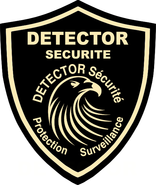 logo detectorsécurité.fr